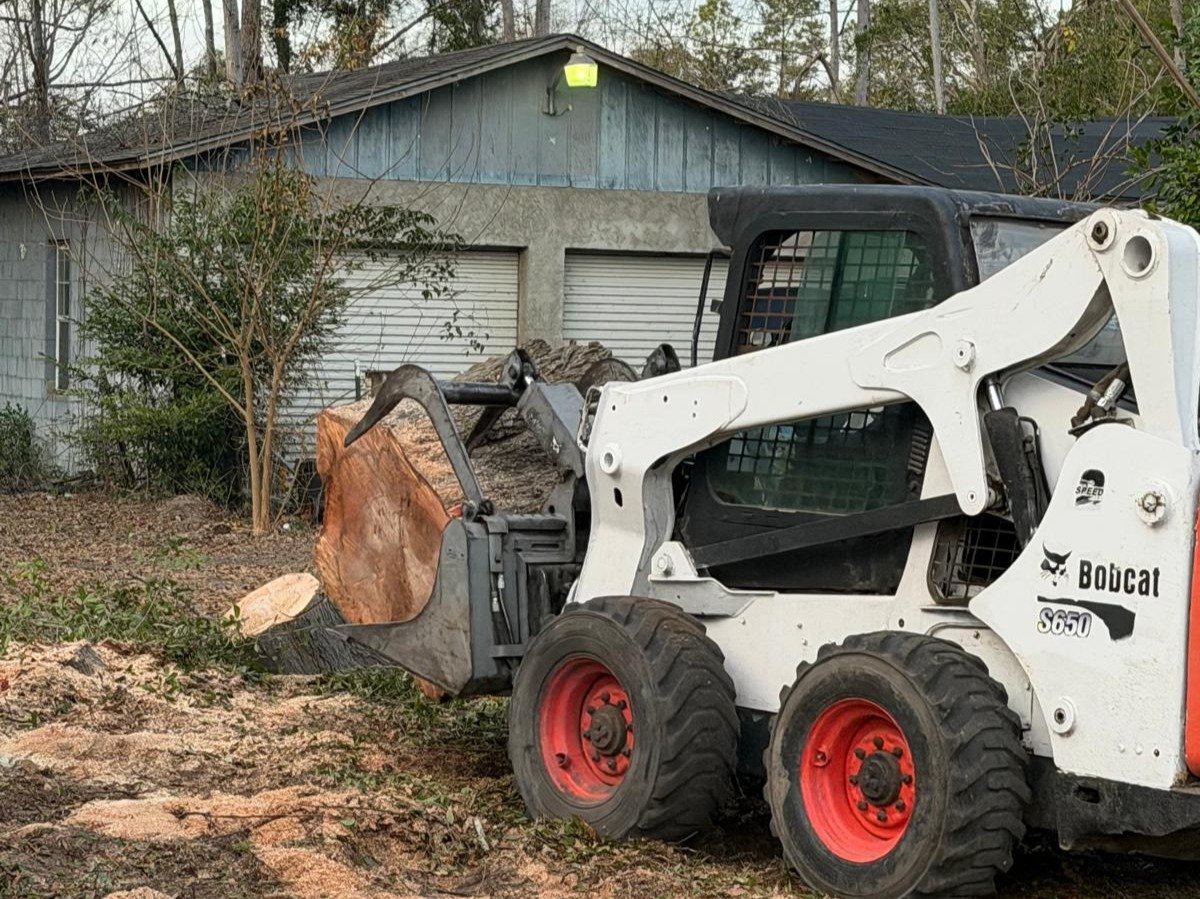 El Costeño Tree Service LLC